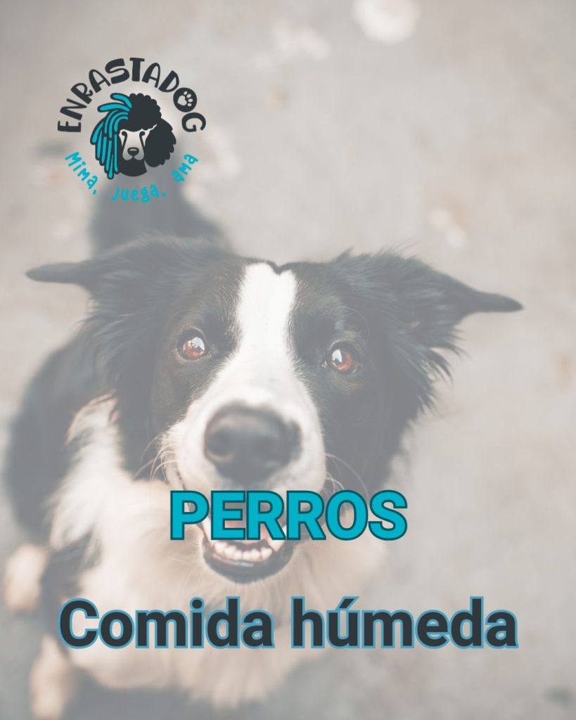 Enrastado tienda online de alimentos y comida humeda para perros