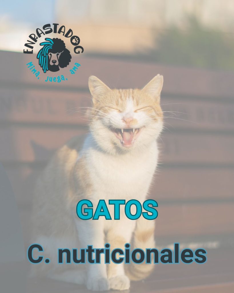 Enrastadog tienda online de productos para gatos y complementos nutricionales