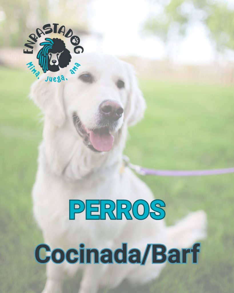 Enrastadog tienda online de productos para perros comida cocinada y barf