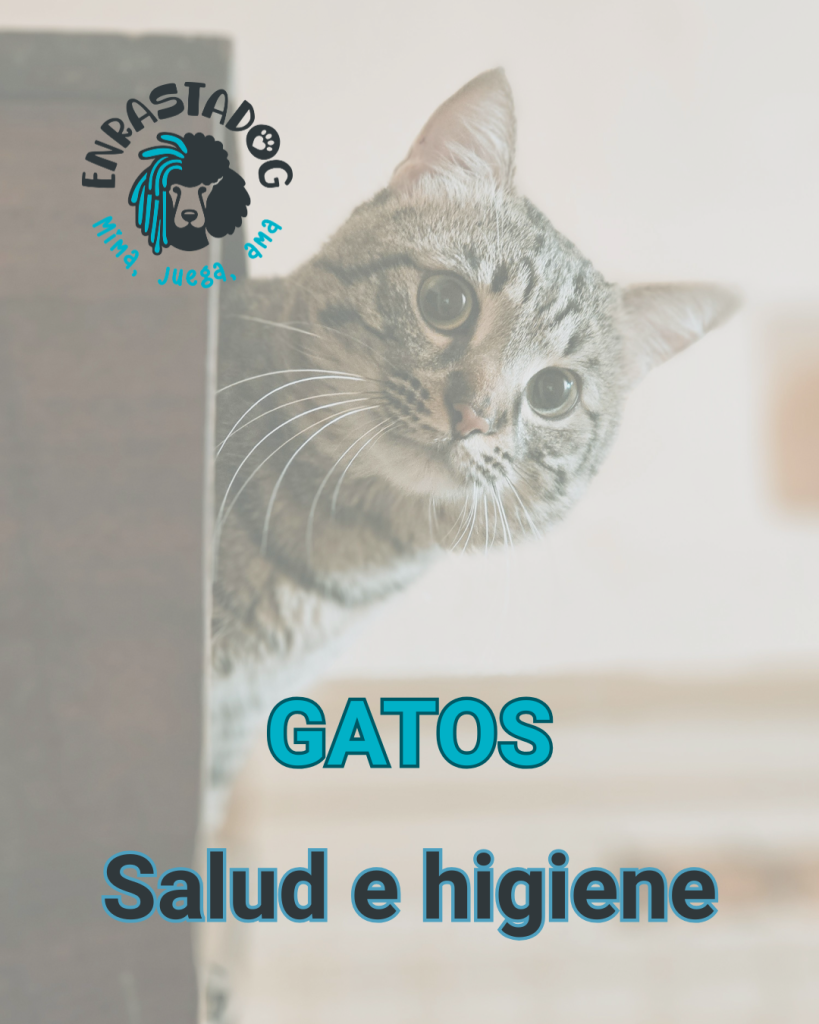 Enrastadog tienda online de productos salud e higiene para gatos