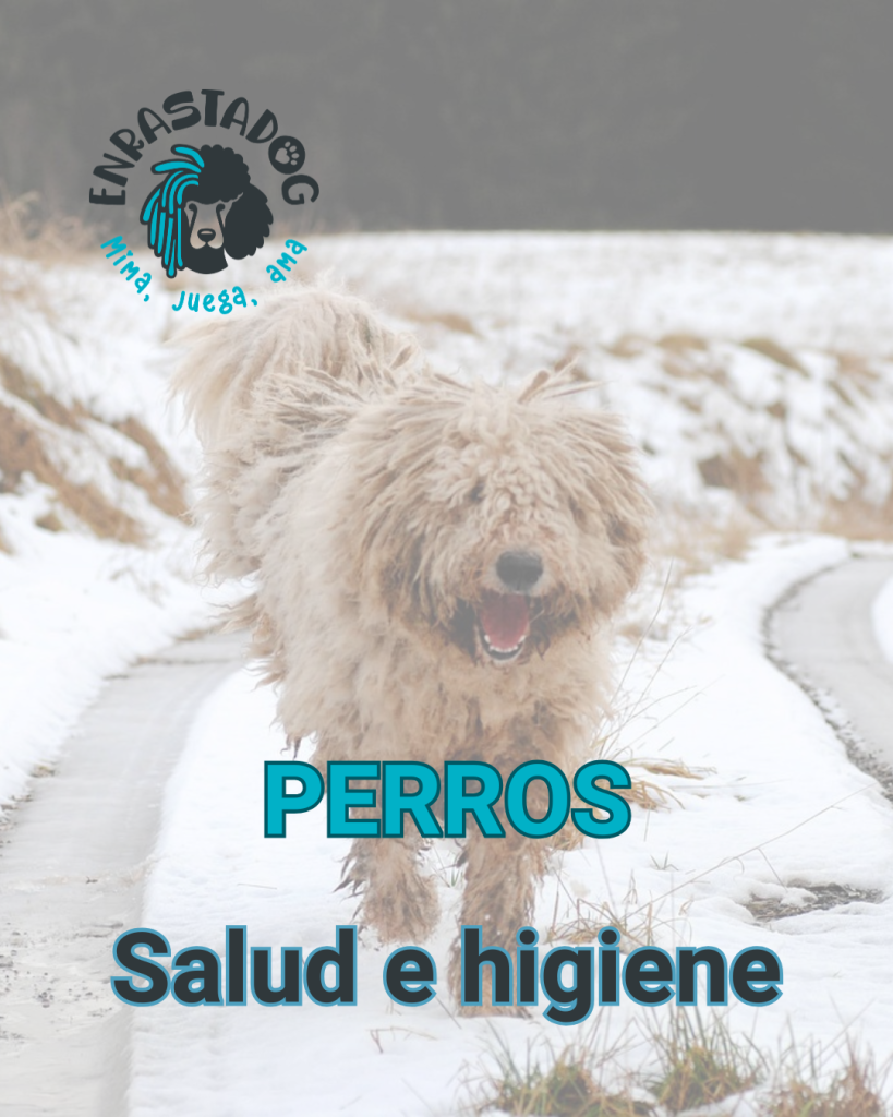 Enrastadog tienda online para perros con productos salud e higiene