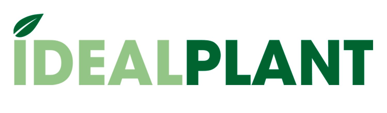 IDEALPLANT