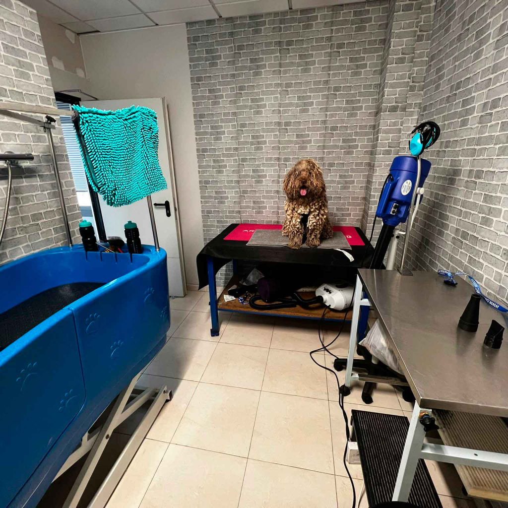 enrastadog-comida-3-peluqueria-caninca-en-villalbilla